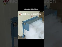 Rifeng carding machines